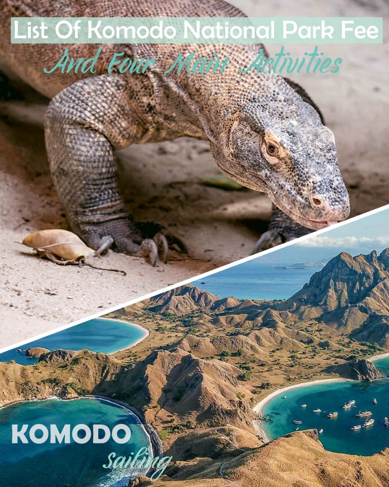 List of the Komodo National Park Fee And 4 Main Activities Flores