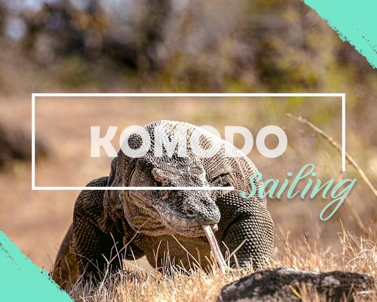Travel Guide From Labuan Bajo To Komodo Island