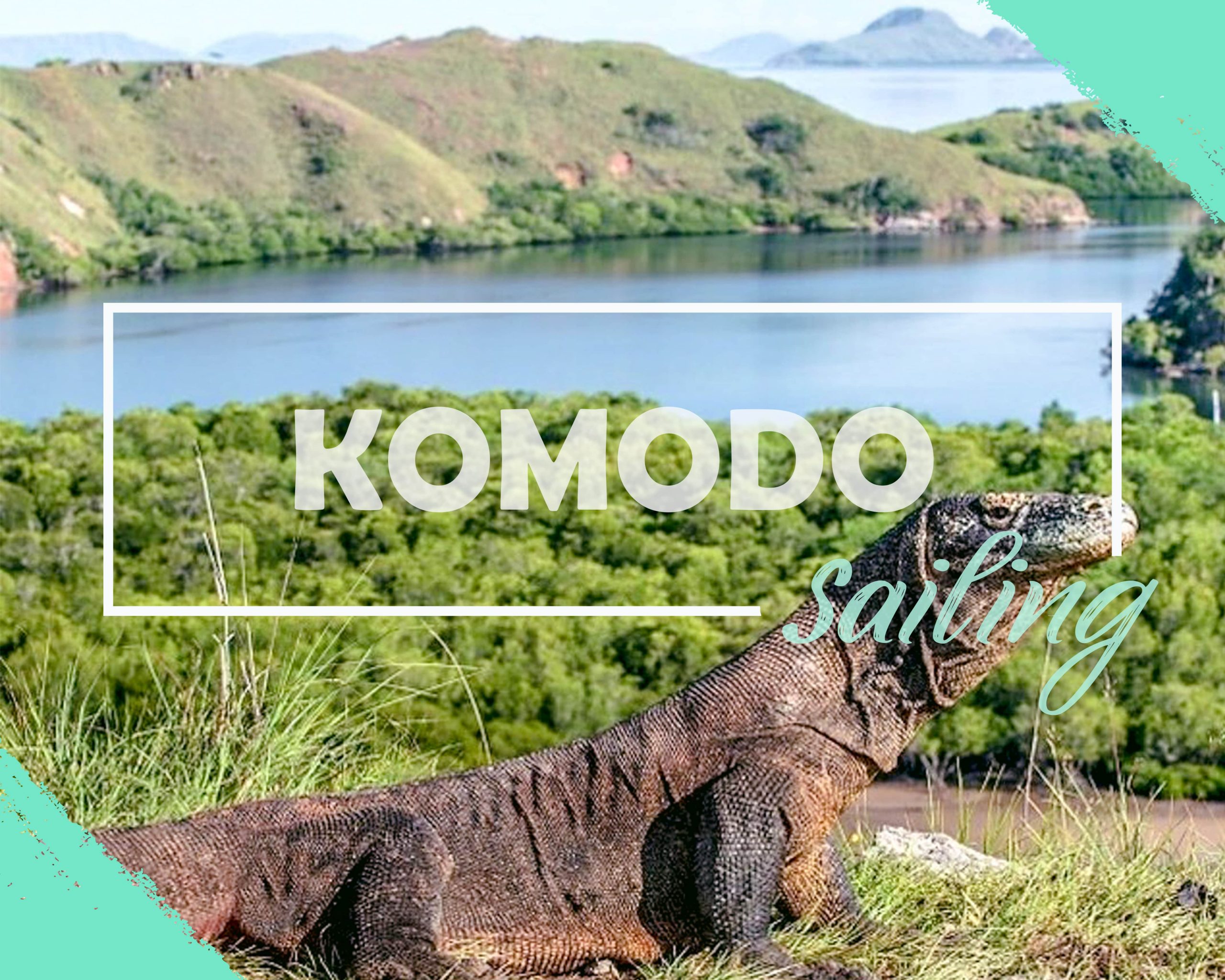 explore komodo tours