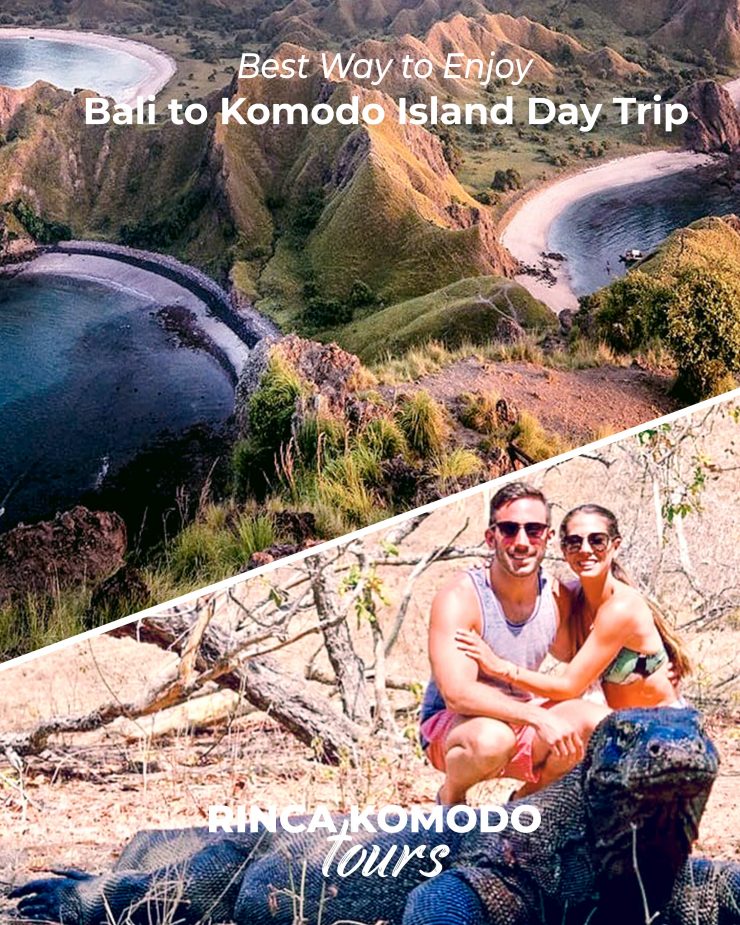 komodo island day trip