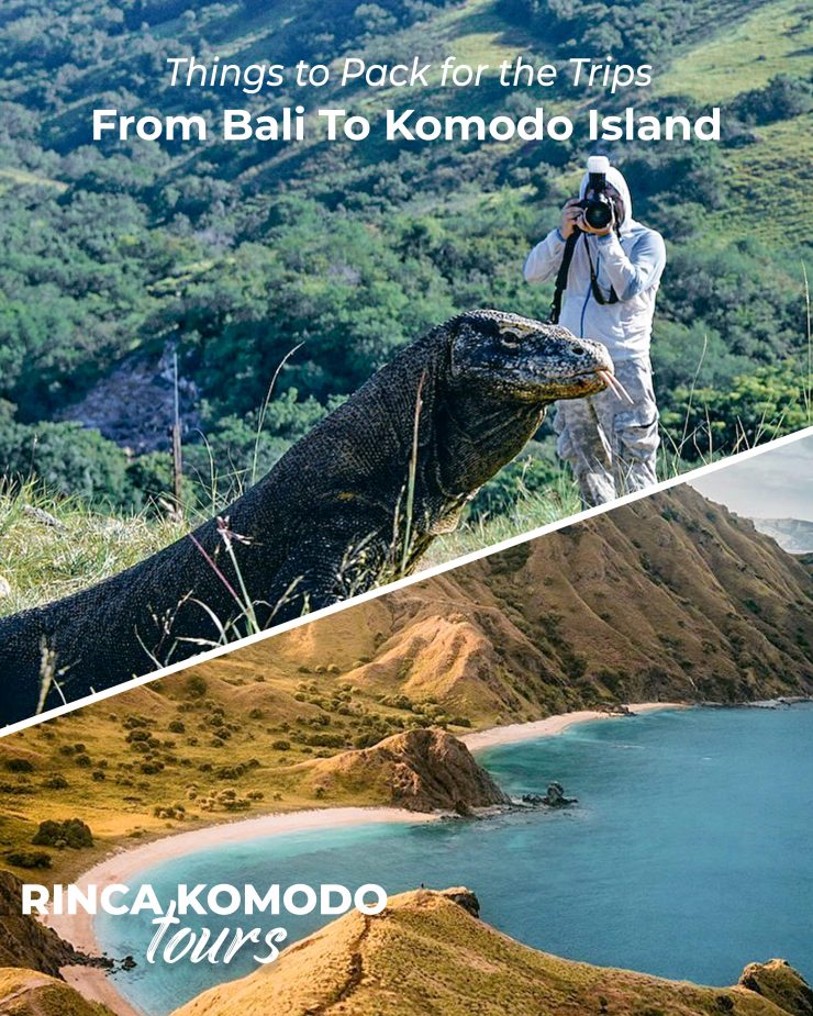from bali to komodo island