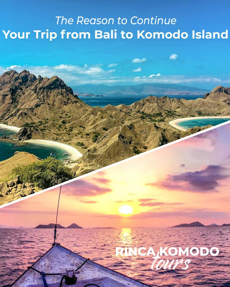 The Reason to Continue Your Trip from Bali to Komodo Island - Flores ...