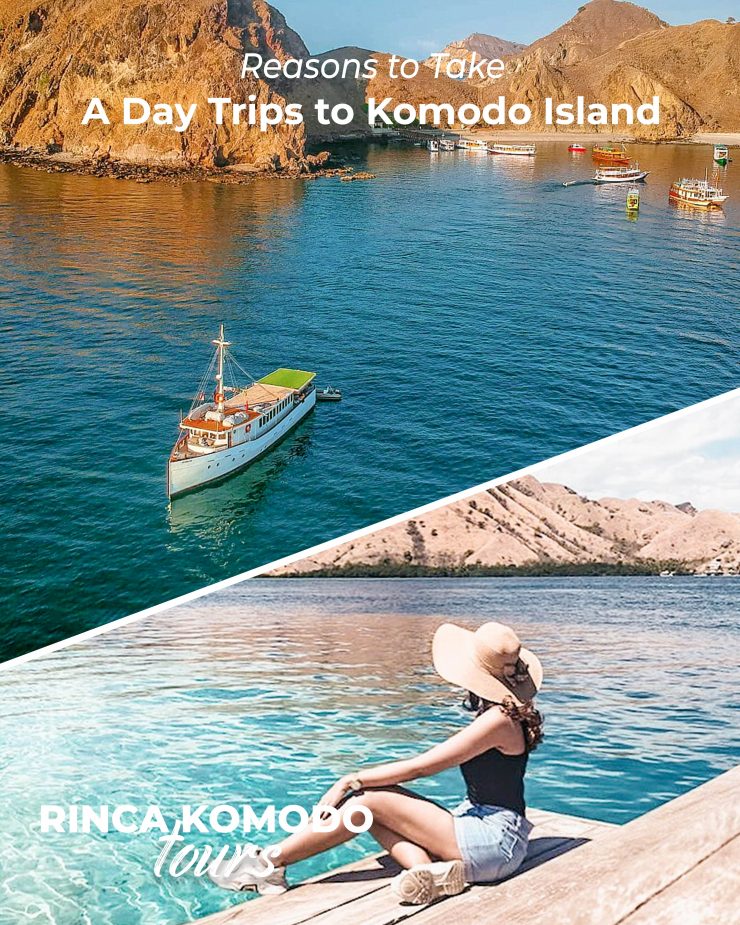 day trips to komodo island