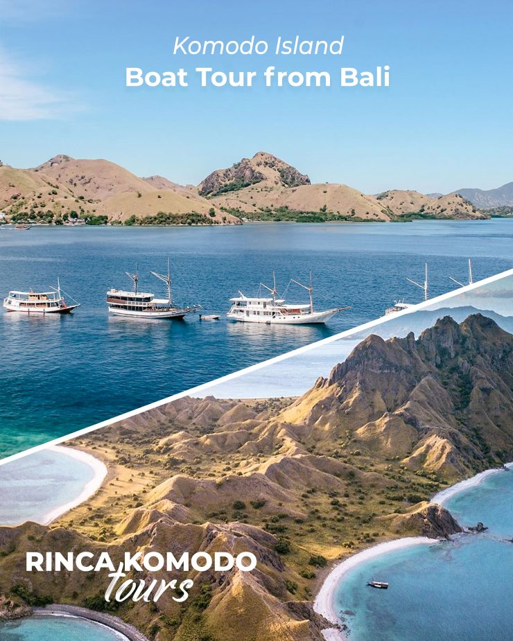 komodo island boat tour
