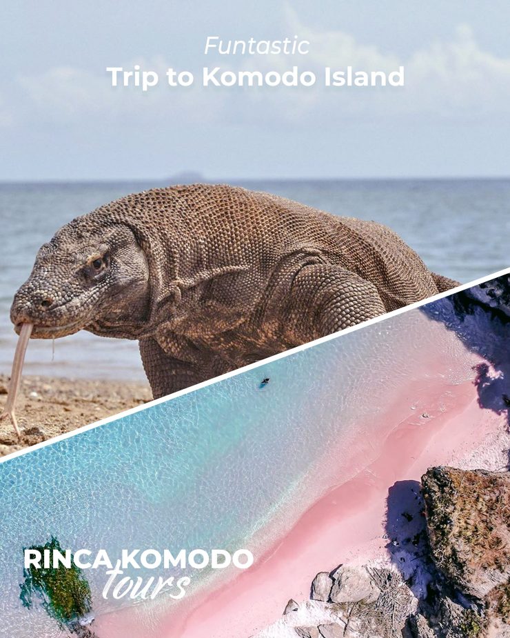 trip to komodo island