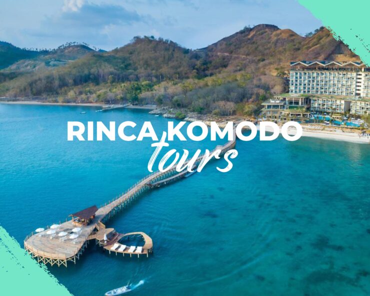Ayana Labuan Bajo: A High-End Hotel And Resort To Watch Komodo Dragons Closer