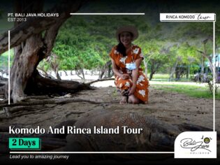 Komodo And Rinca Island Tour 2 Days