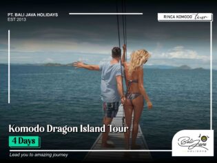 Komodo Dragon Island Tour 4 Days
