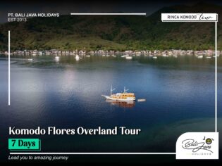 Komodo Flores Overland Tour 7 Days