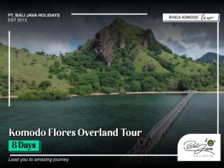 Komodo Flores Overland Tour 8 Days