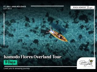 Komodo Flores Overland Tour 9 Days