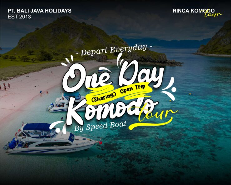 One Day Tour Komodo Island By Speed Boat