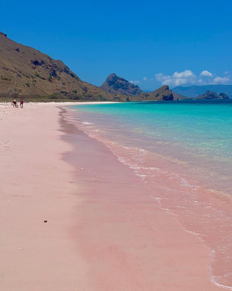 Pink Beach in your Komodo Island tour from Labuan Bajo