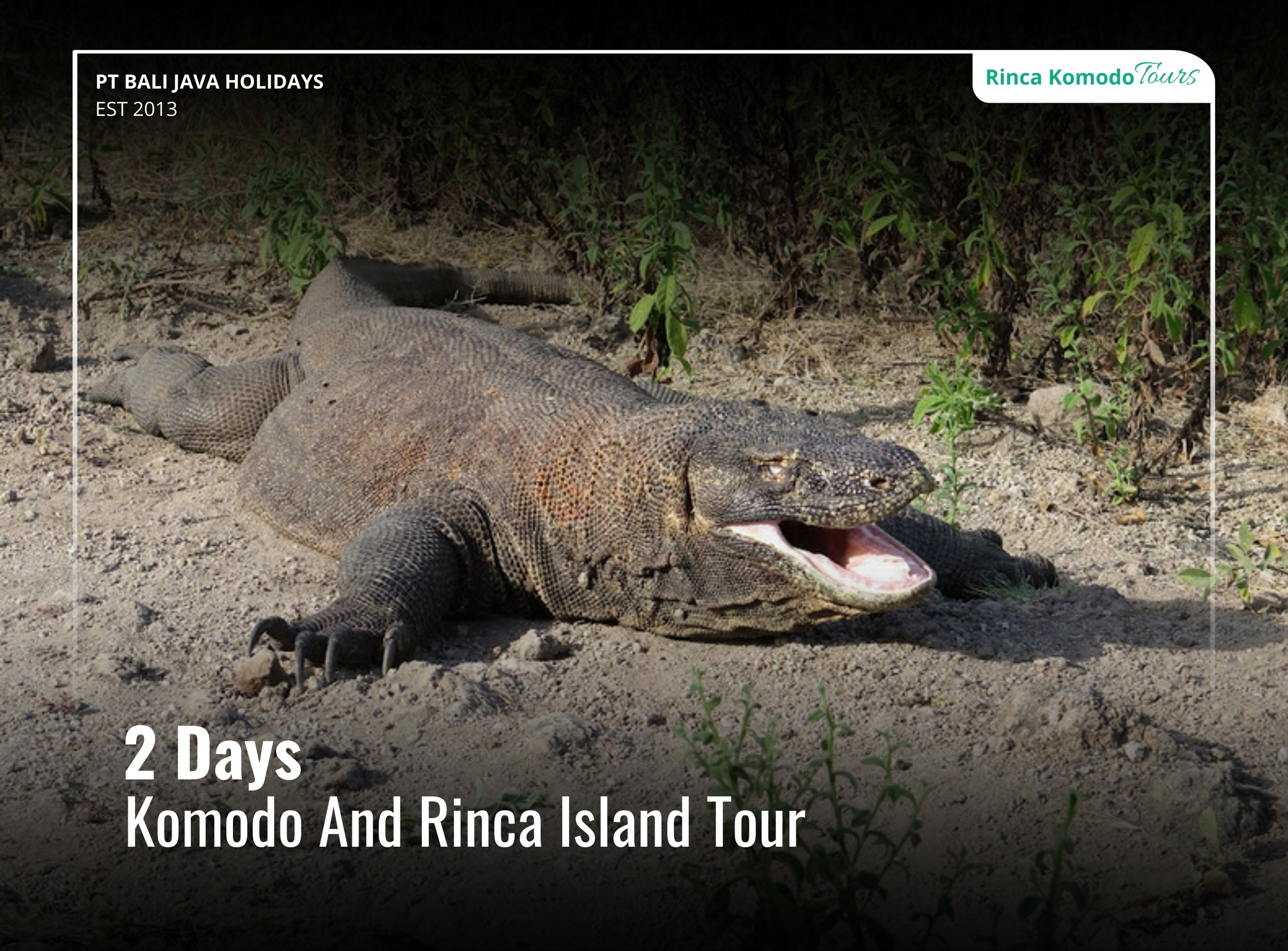 Komodo And Rinca Island Tour 2 Days