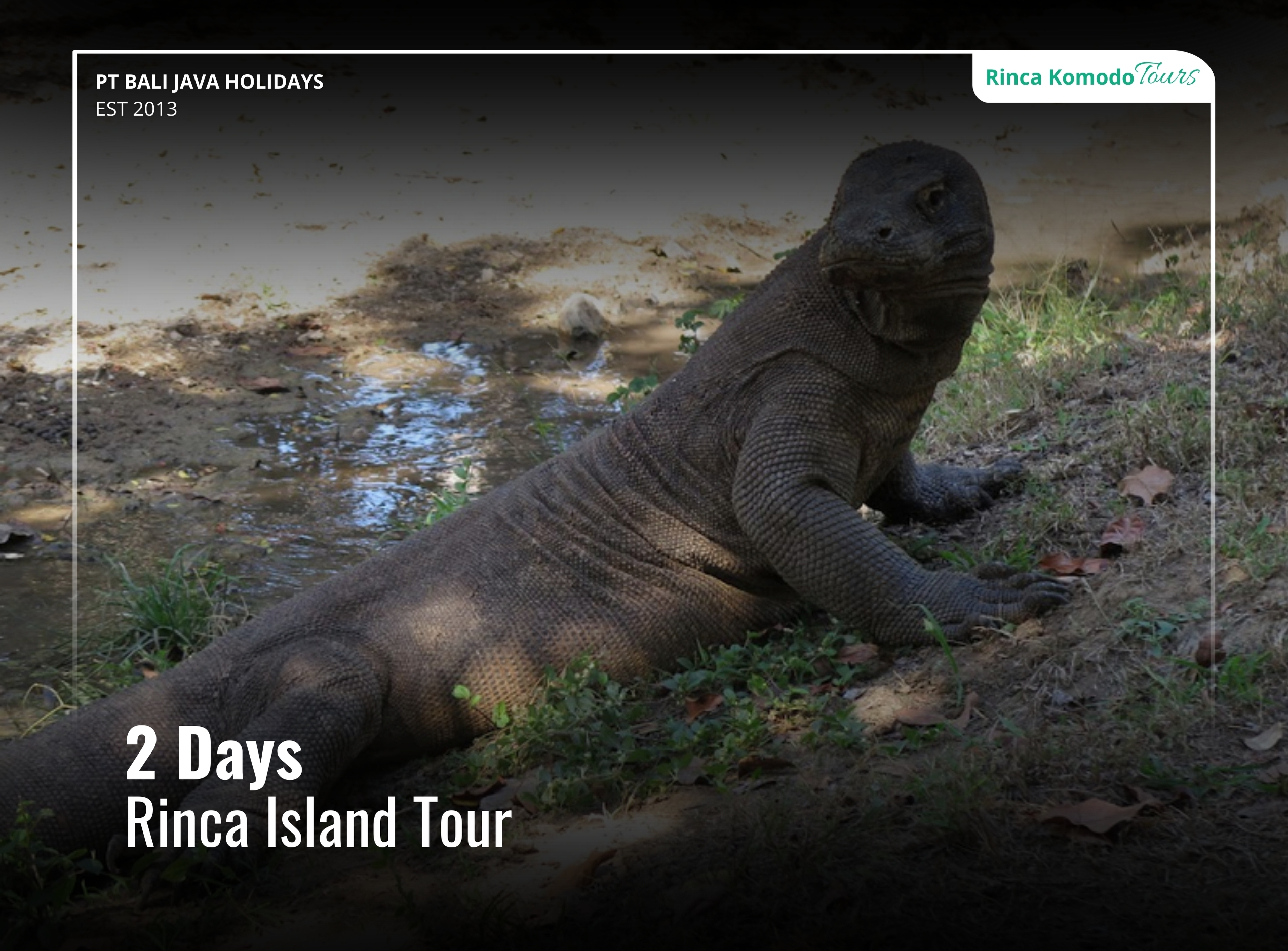 Rinca Island Tour 2 Days