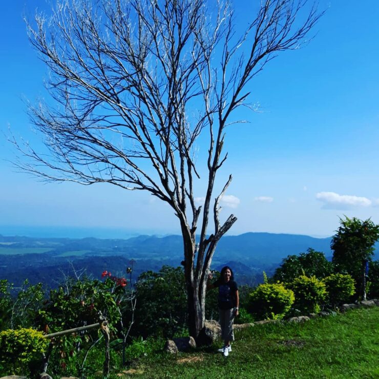 one day trip labuan bajo 2 