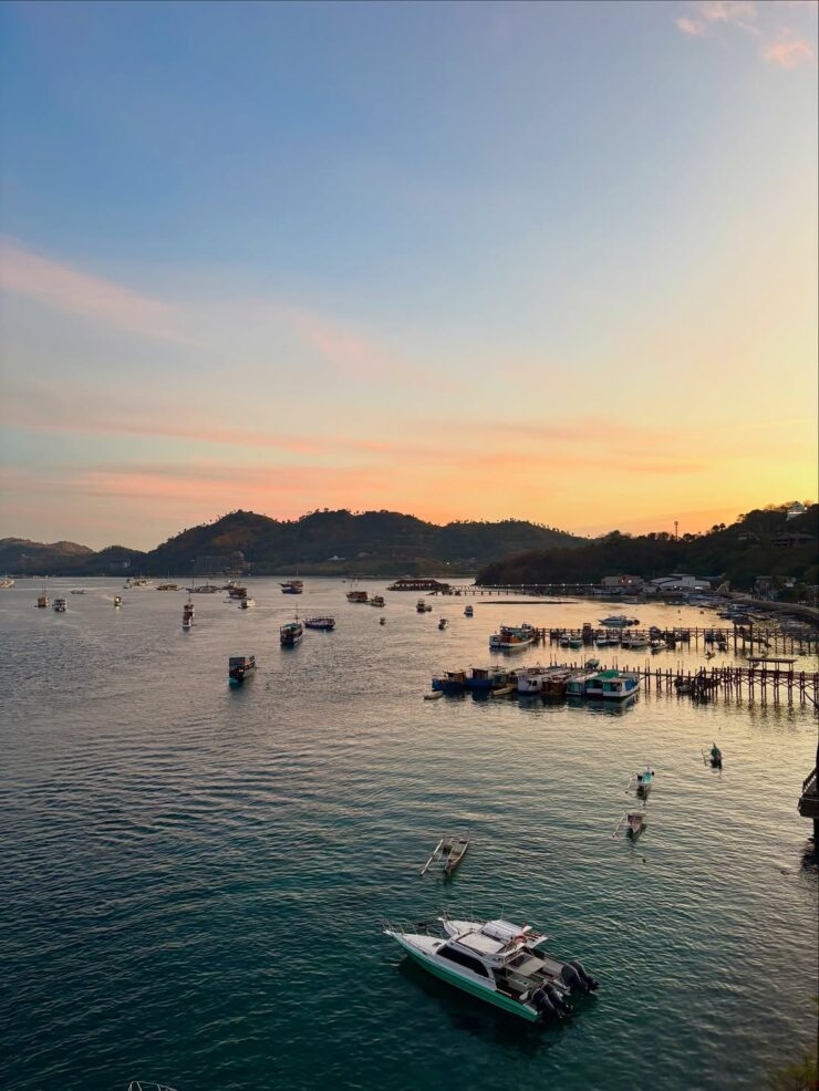 Labuan Bajo Komodo From Jakarta: A New Experience In 2026