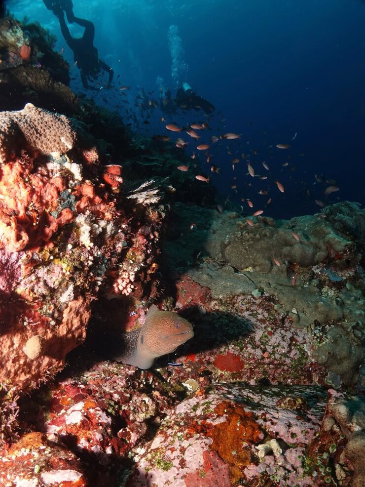 How To Get Labuan Bajo Komodo From Germany: Trade The City For The Sea In 2026