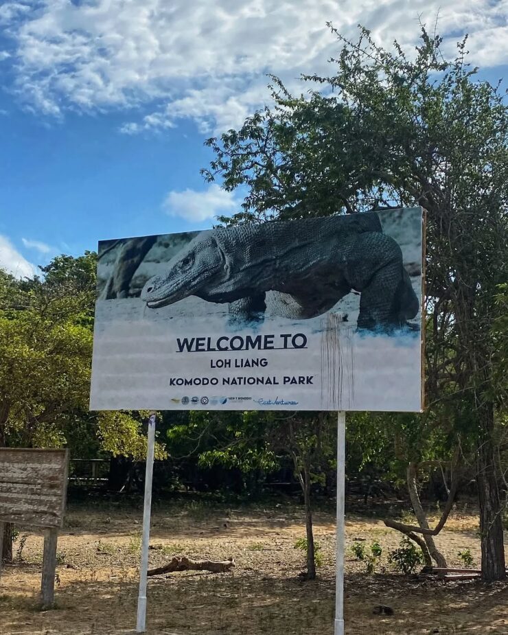 Komodo Island Tour From France: A Wild Escape Awaits
