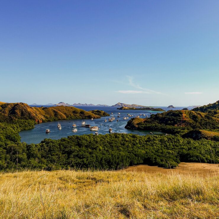 Rinca Island vs Komodo Island
